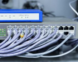 Gros plan sur des câbles courant faible pour la connexion internet